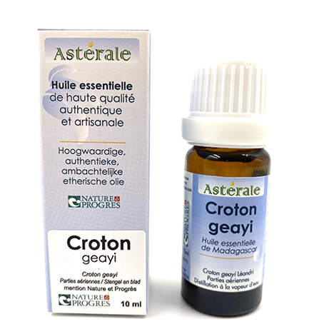 Huile Essentielle de Croton cotoneaster 10ml Astérale