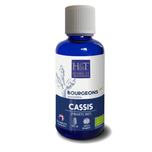 Cassis (Bourgeons de Feuilles) BIO Gemmo Macérat Herbes et Traditions 30ml